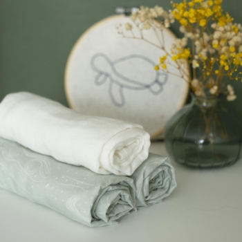 staged photo of diapers off Nova