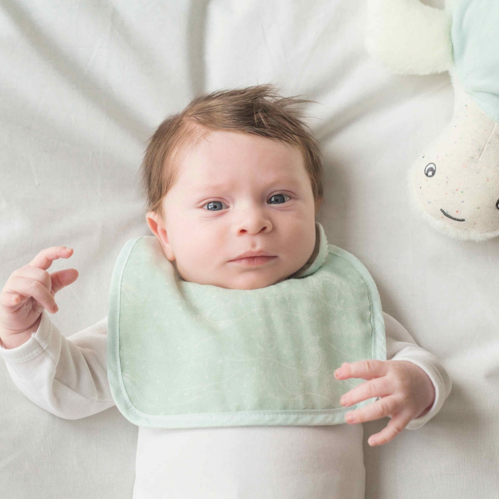 foto baberos verde agua antonin au large de nova