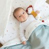 fox rattle hide and seek in the forest baby photo blanket fox rattle hide and seek in the forest baby photo blanket