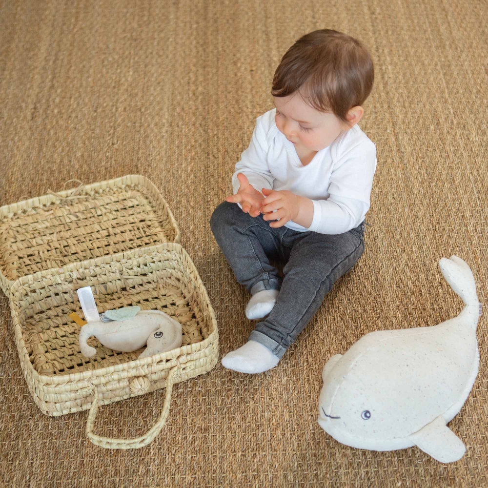 bebé con su sonajero caballito de mar au large de nova