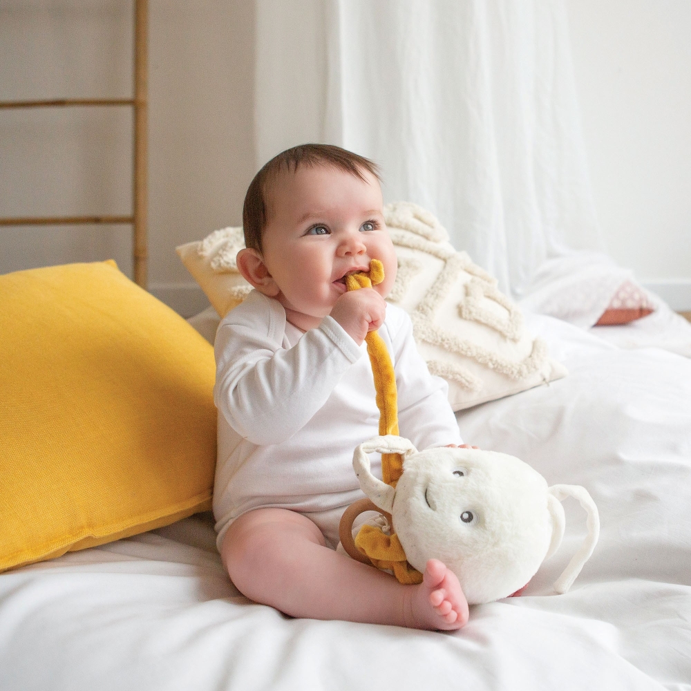 il bambino gioca con il suo peluche musicale Jelly la medusa al largo di Nova il bambino gioca con il suo peluche musicale Jelly la medusa al largo di Nova