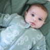 Bébé éveillé dans sa gigoteuse verte à manches Bébé éveillé dans sa gigoteuse verte à manches