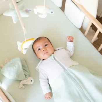 baby gefascineerd door zijn mobiel au large de nova baby gefascineerd door zijn mobiel au large de nova
