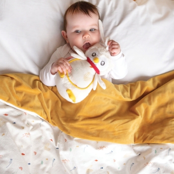 baby playing with his musical owl hide and seek plush toy in the forest