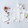 Kit de nacimiento presentado con manzanas reales y pequeñas fresas