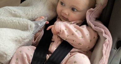 Nid d'ange ceinture securité bébé