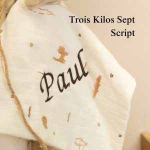 police-script-broderie