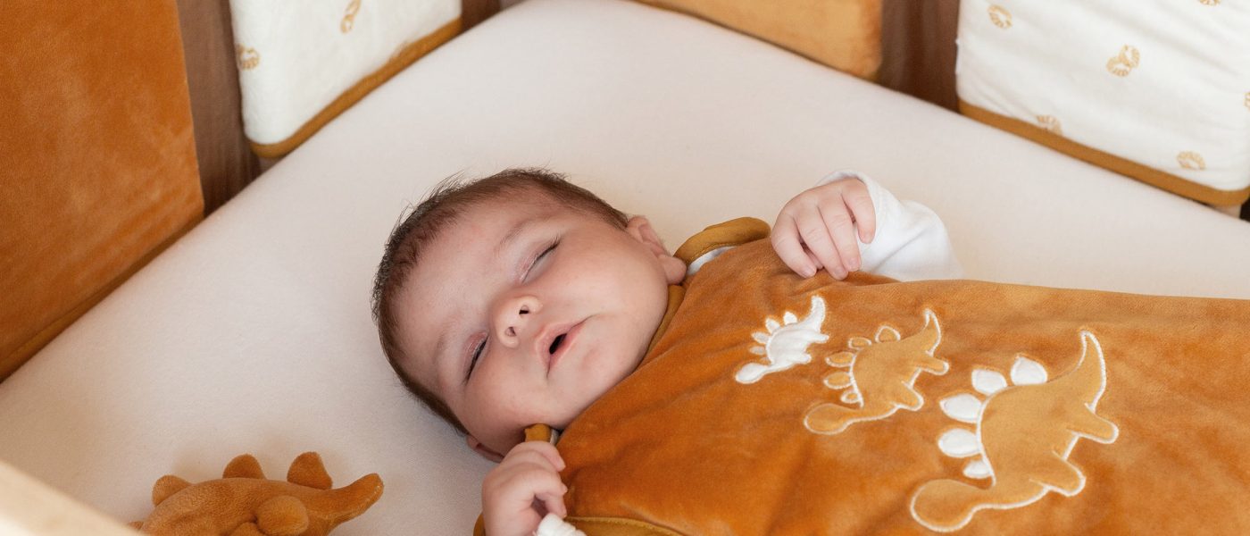 ensemble collection Diplododo