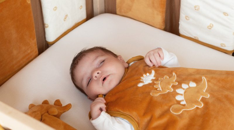 ensemble collection Diplododo