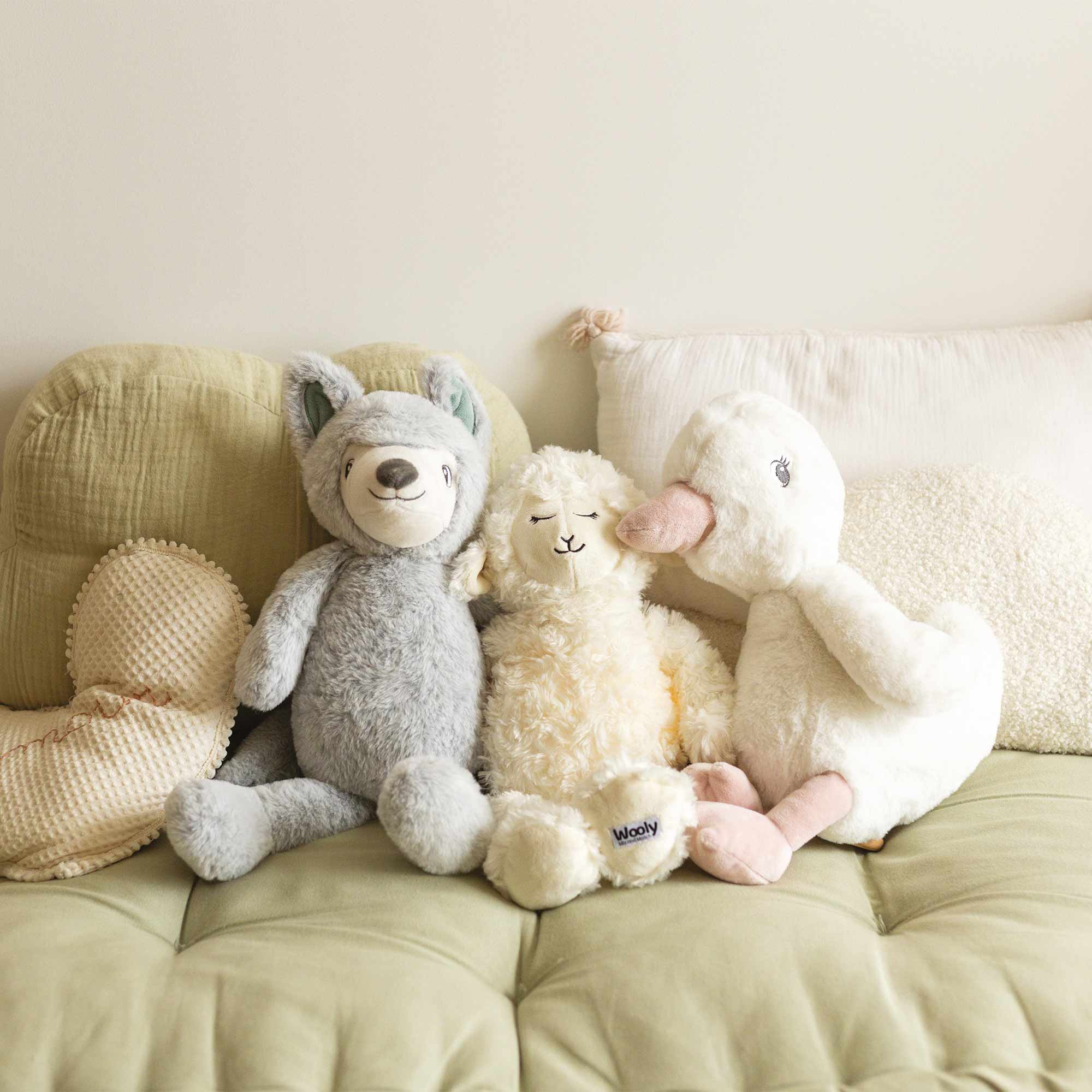 Collection Wooly