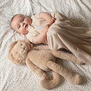 Collection Cache cahe en forêt